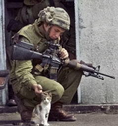 vadim.46
